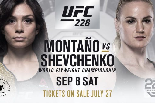 Shevchenko ufc